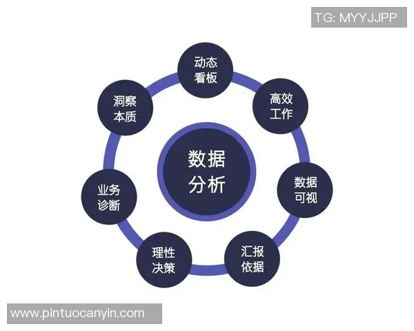 深圳排球队比赛经验分析与数据洞察探讨